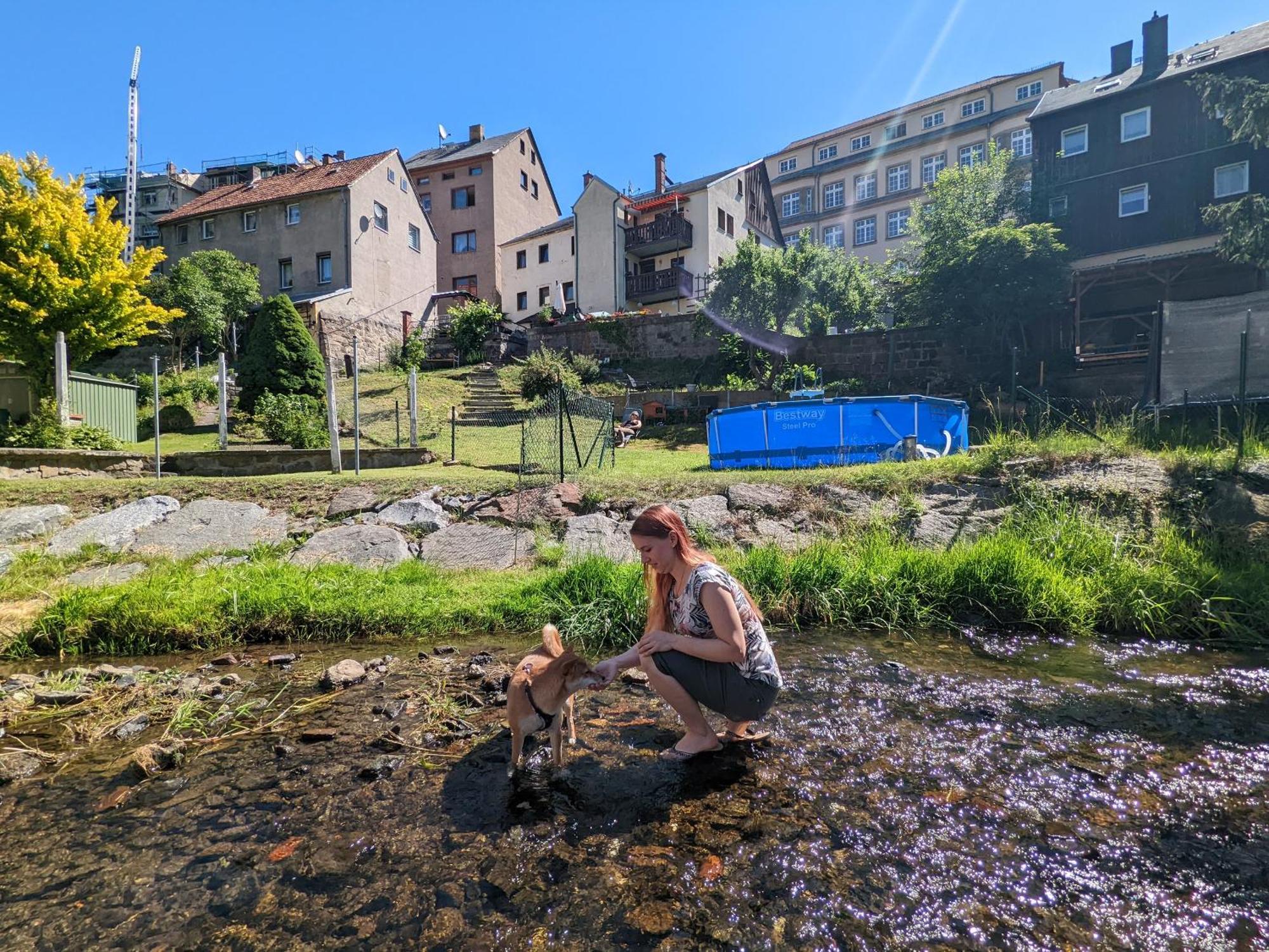Hw4B - Urlaubsmagie - Zentral Mit Gemeinschaftsgarten, -Pool, -Sauna & Whirlpool Sebnitz Buitenkant foto