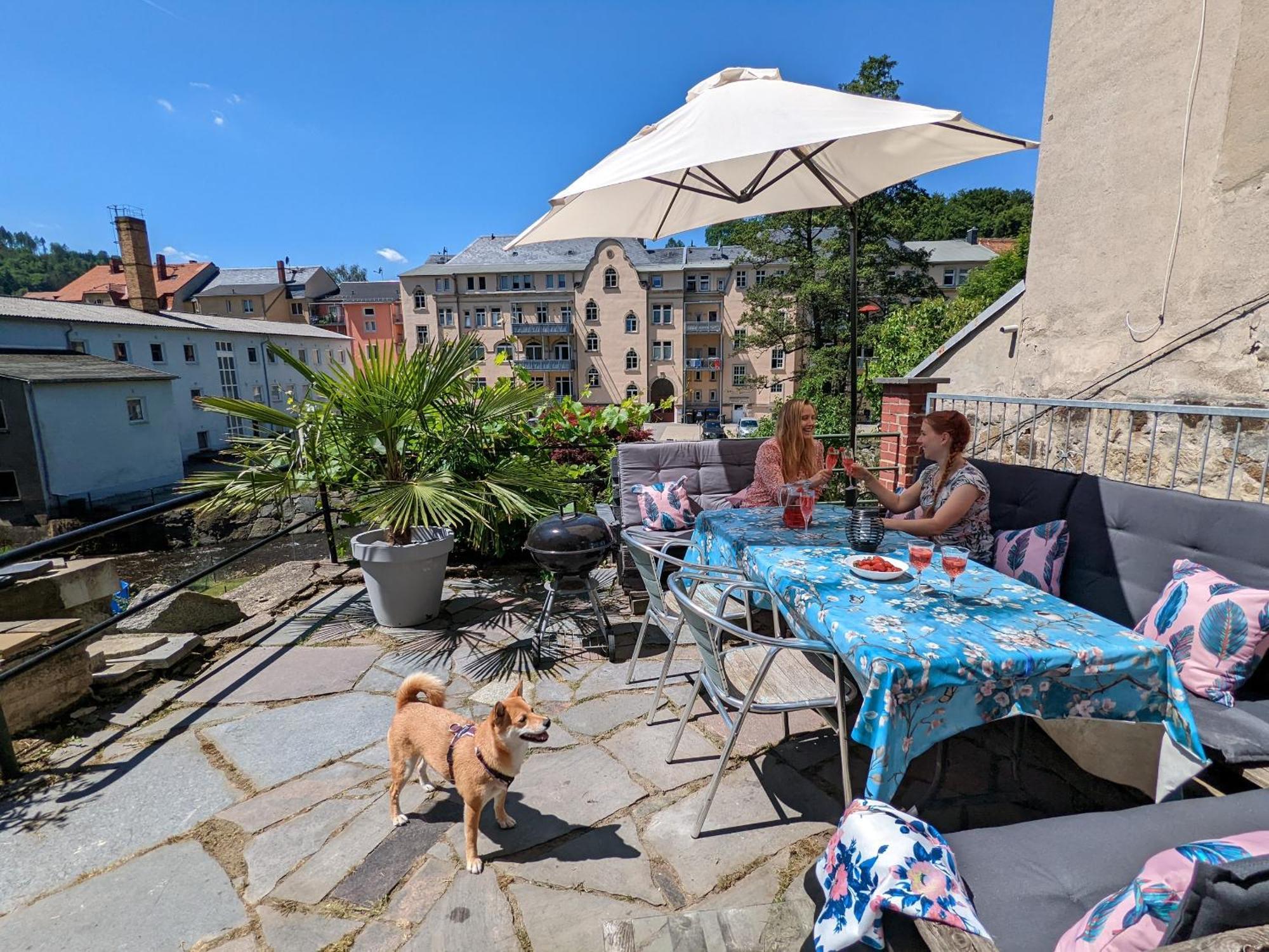 Hw4B - Urlaubsmagie - Zentral Mit Gemeinschaftsgarten, -Pool, -Sauna & Whirlpool Sebnitz Buitenkant foto